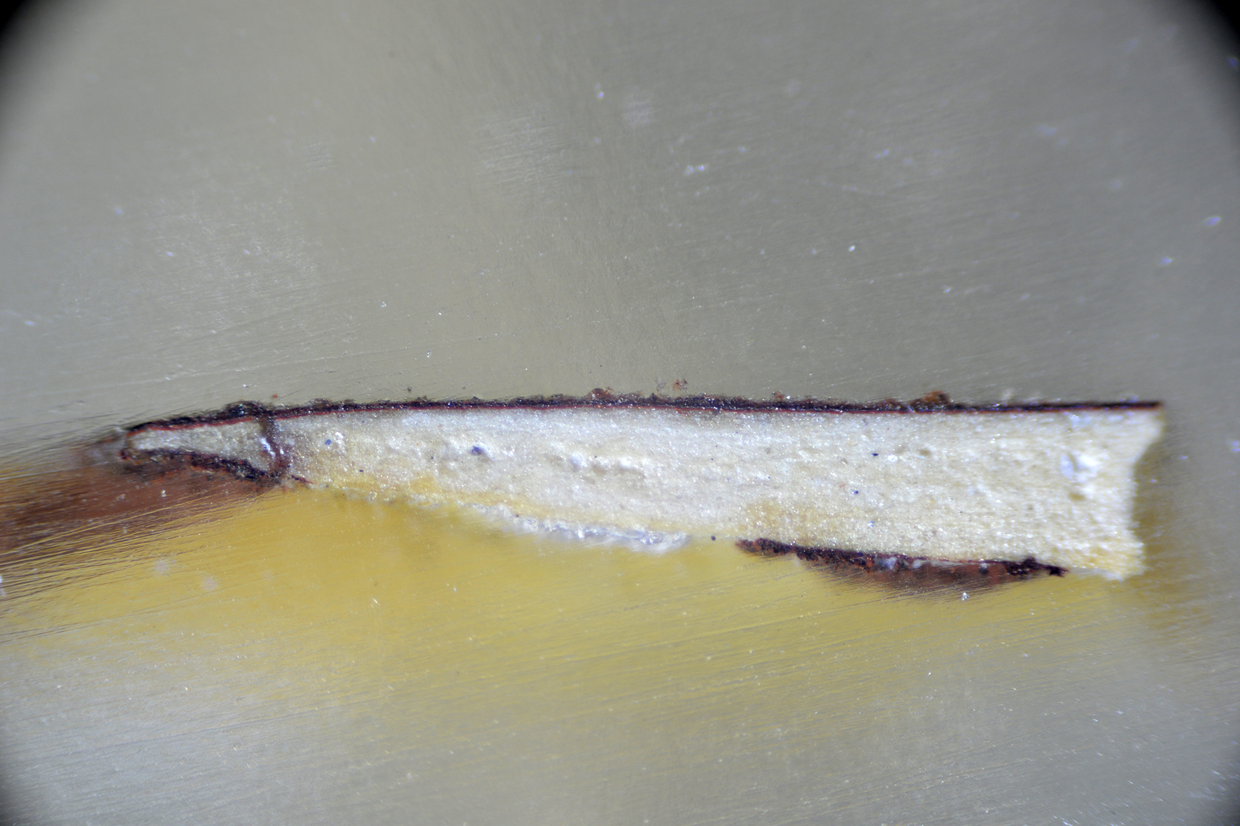 Vzorka polychrómie pod mikroskopom