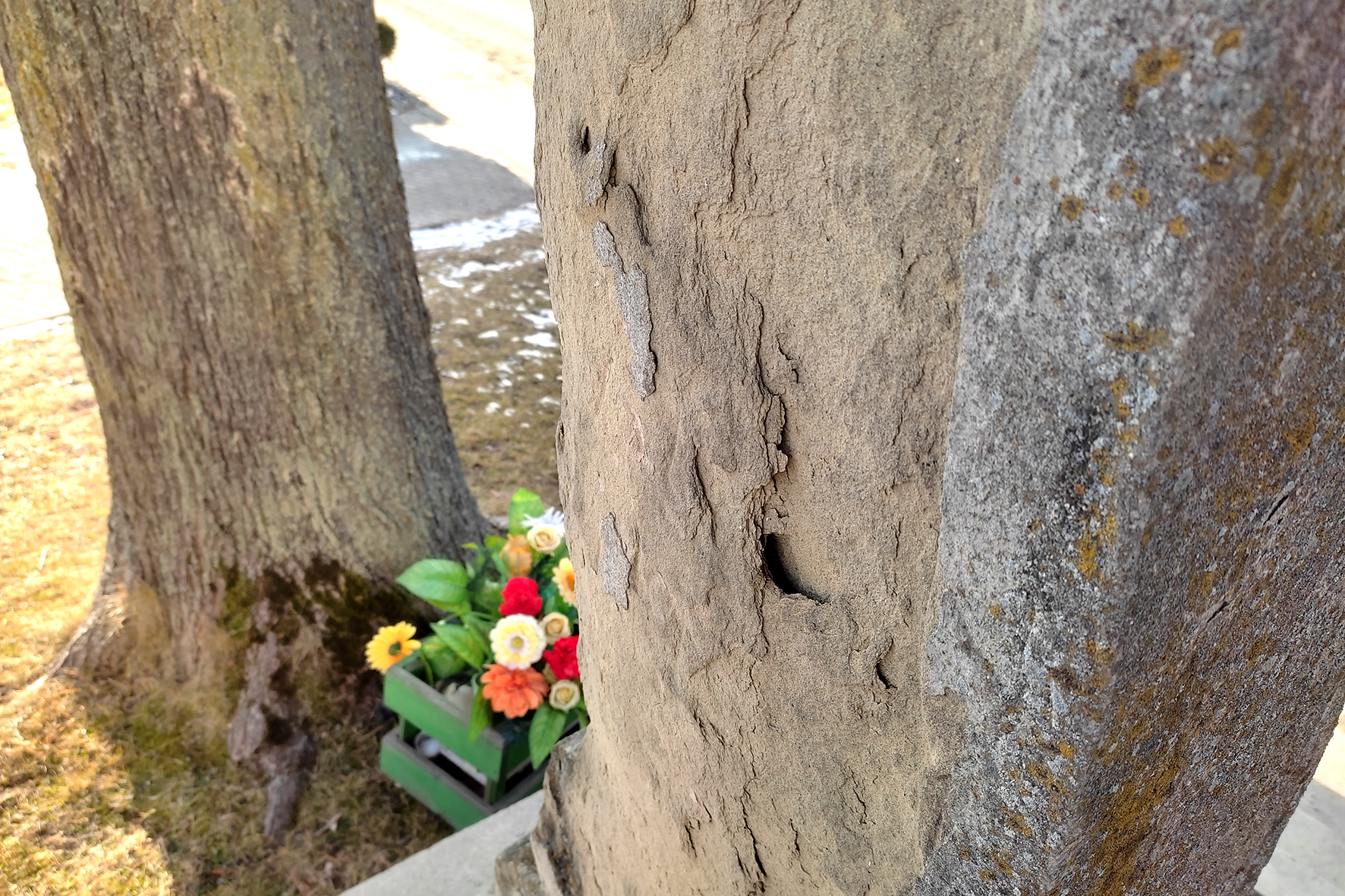 Poškodenie kamennej hmoty